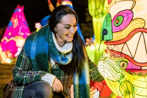 Будапешт: входной билет в Сад огней