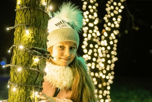 Будапешт: входной билет в Сад огней