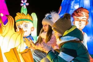 Будапешт: входной билет в Сад огней