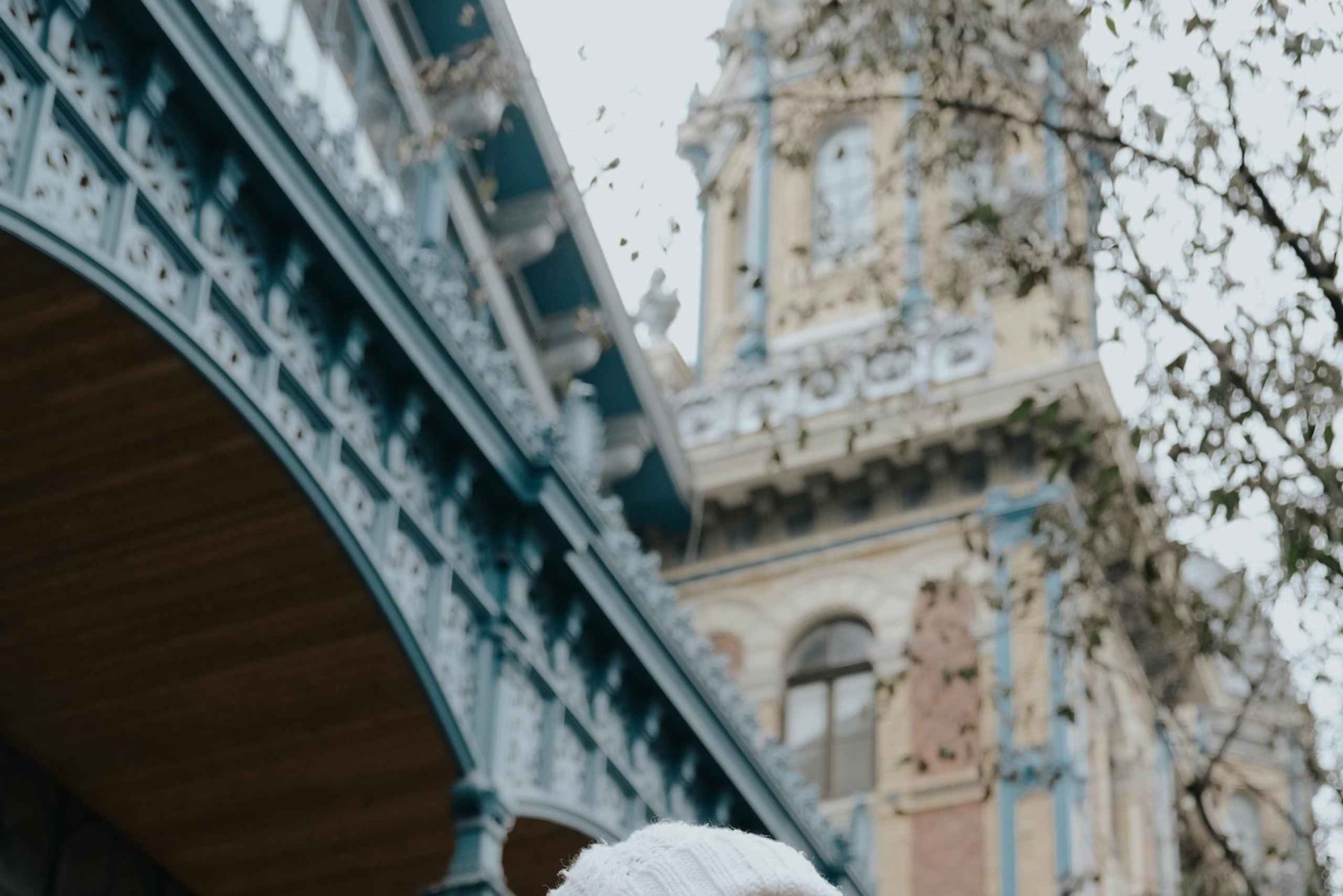 Budapest: Paseo fotográfico privado por la colina Gellért y el Puente de las Cadenas