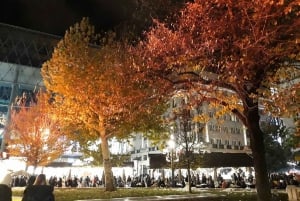 Budapest: Great Christmas Tour & Folk Music Performance