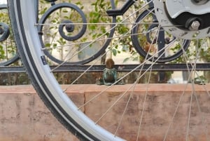 Budapest Verborgen Parels Bike Tour: mini-beeldjes & uitzichten