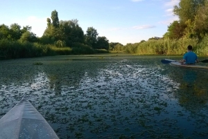Budapest: Dolda vatten i handgjorda kajaker (självguidad)