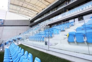 Budapest: Tour guidato dello stadio Hidegkuti