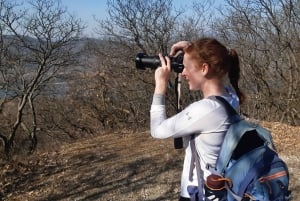 Budapest Excursión al Castillo de Visegrád con Sauna/Playa del Danubio