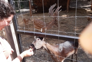 ブダペスト ヴィシェグラード城へのハイキング（サウナ付）／ドナウビーチ