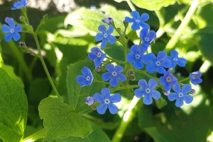 ブダペスト ヴィシェグラード城へのハイキング（サウナ付）／ドナウビーチ