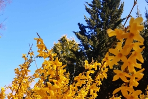 ブダペスト ヴィシェグラード城へのハイキング（サウナ付）／ドナウビーチ