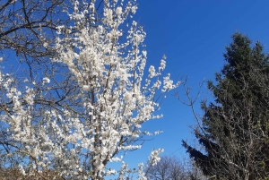 ブダペスト ヴィシェグラード城へのハイキング（サウナ付）／ドナウビーチ