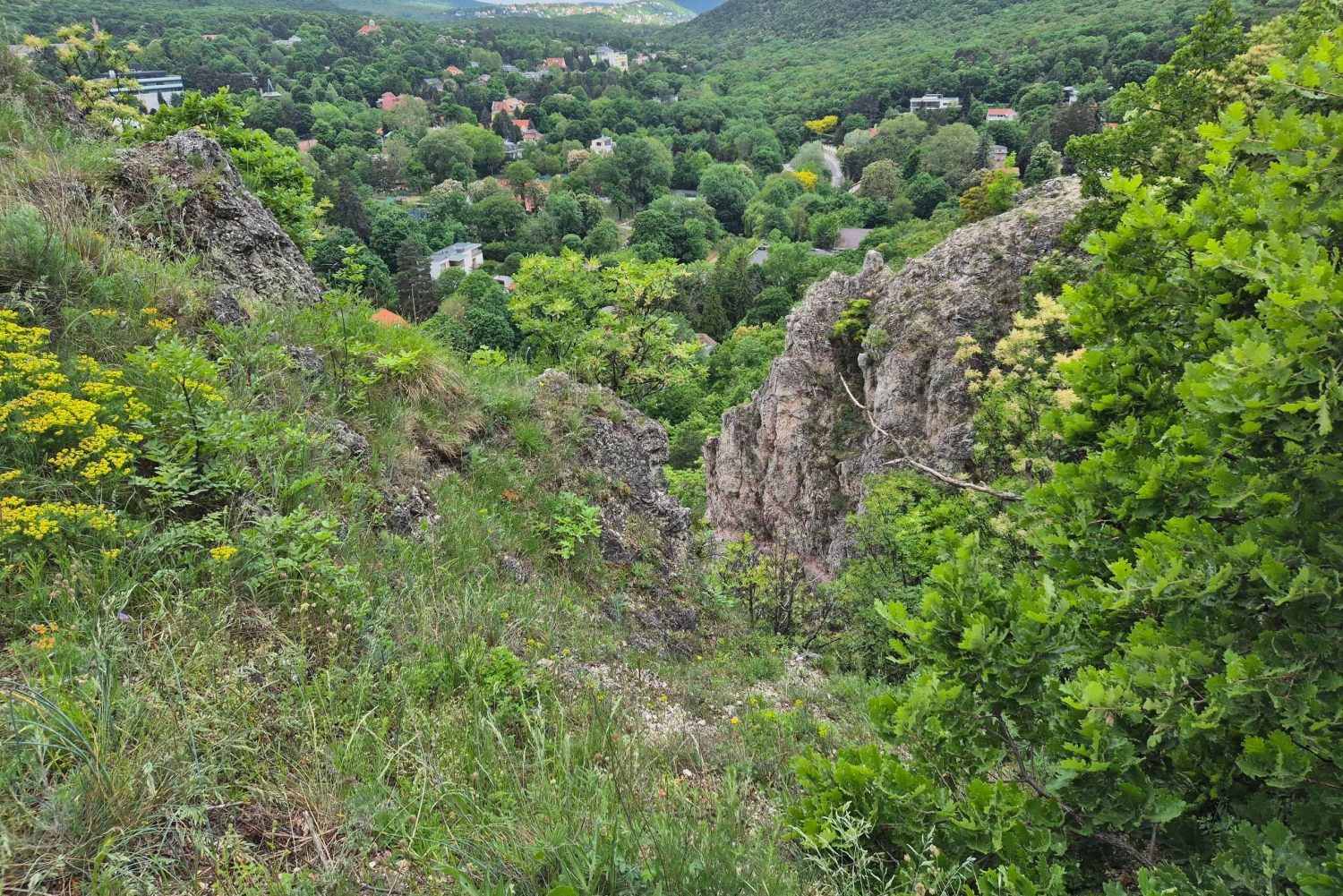 Budapest: Vandringstur i Budabergen, Hármashatár-kullen