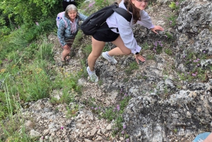 Budapest: Ruta de senderismo por las colinas de Buda, colina Hármashatár