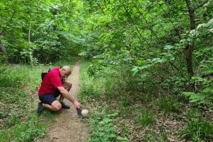Budapest: Ruta de senderismo por las colinas de Buda, colina Hármashatár