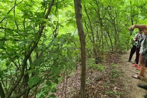 Budapest: Ruta de senderismo por las colinas de Buda, colina Hármashatár