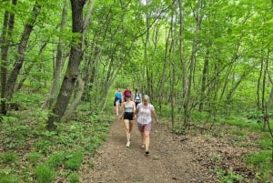 Budapest: Ruta de senderismo por las colinas de Buda, colina Hármashatár