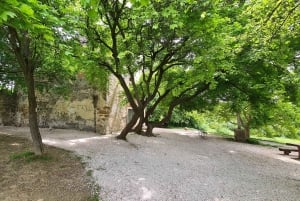 Budapest: Ruta de senderismo por las colinas de Buda, colina Hármashatár