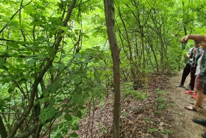 Budapest: Vandringstur i Budabergen, Hármashatár-kullen