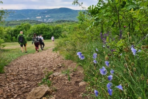 Budapest: Vandringstur i Budabergen, Hármashatár-kullen