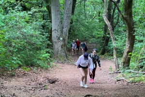 Budapest: Vandringstur i Budabergen, Hármashatár-kullen