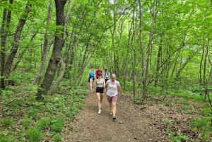 Budapest: Vandringstur i Budabergen, Hármashatár-kullen