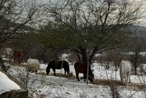 Budapest: Vandringstur i Budabergen, Hármashatár-kullen