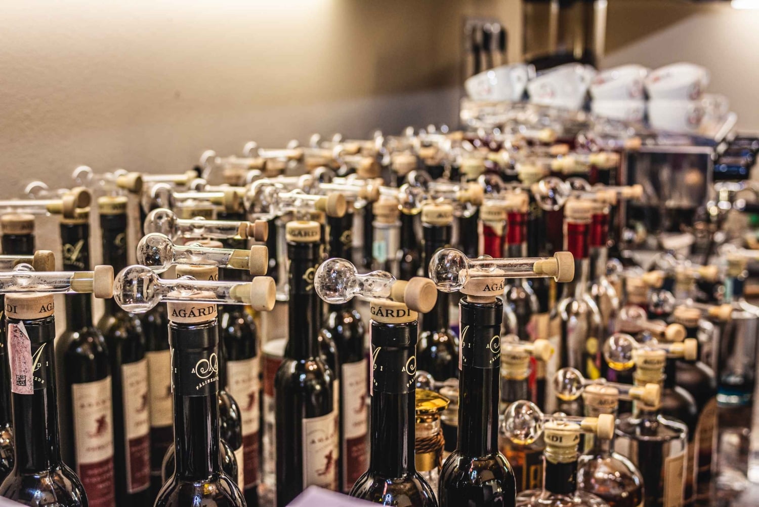 Budapeste: Degustação de whisky húngaro, gin e pálinka