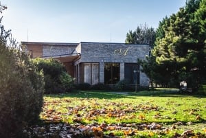 Budapeste: Degustação de whisky húngaro, gin e pálinka