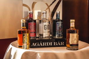 Budapeste: Degustação de whisky húngaro, gin e pálinka
