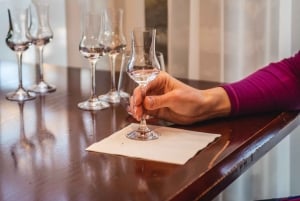 Budapeste: Degustação de whisky húngaro, gin e pálinka