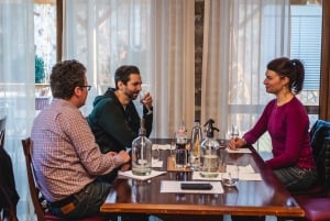 Budapeste: Degustação de whisky húngaro, gin e pálinka