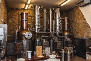 Budapeste: Degustação de whisky húngaro, gin e pálinka