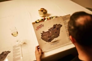 Budapest: Hungarian Wine & Food Tasting Experience