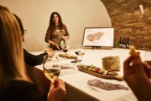 Budapest: Hungarian Wine & Food Tasting Experience