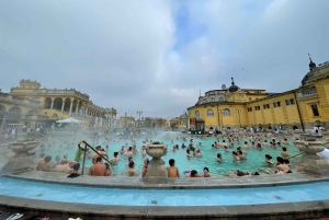 ブダペスト・インスタイル：プライベートシティツアーとルーフトップバー訪問