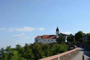 Budapest: Lake Balaton and Herend Full-Day Private Tour