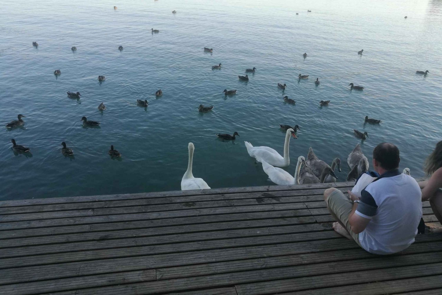 Budapest: tour privato del lago Balaton e della porcellana di Herend