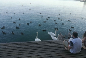 Budapest: Tour privato del lago Balaton e delle porcellane di Herend