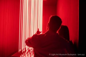 Budapest: Light Art Museum Admission Ticket