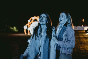 Budapest: Lumina Light Park Wonderworld Entry Ticket