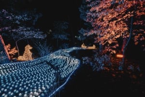 Budapest: Lumina Light Park Wonderworld Entry Ticket