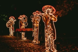 Budapest: Lumina Light Park Wonderworld Entry Ticket