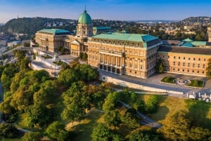 Buda Castle District and Matthias Church Private Tour