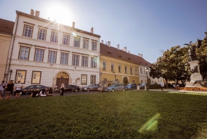 Budapest: Matthias Church: Colorful Tiles & Coronations Tour