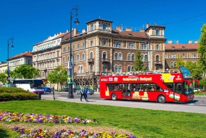 Budapest: ticket de entrada MegaCombo con el balneario Szechenyi, HoHo y crucero