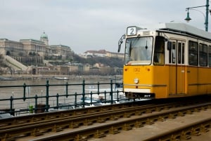 Budapest MegaPass: Top Attractions, Thermal & Transportation