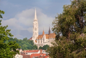 Budapest: Multilingual Highlights Tour