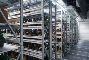 Budapest: Etnografisk Museum – eksklusiv keramiktur