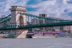 Budapest: Nighttime or Daytime Sightseeing Cruise