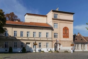 Budapest: tour a pie por el casco antiguo de Buda y actuación de música folclórica