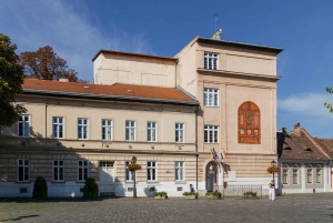 Budapest: tour a pie por el casco antiguo de Buda y actuación de música folclórica
