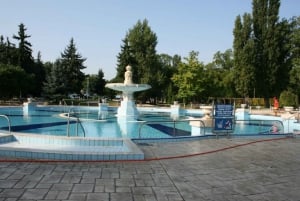 Budapest: Palatinus Spa & Pools Full-Day Admission